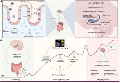 Elucidating gut microbiota–hippocampus interactions in emerging psychosis: A new perspective for the development of early interventions for memory impairments